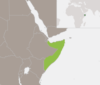 Somalia: The New Deal and Non-State Security Actors